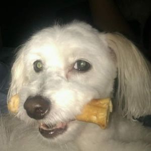 Meet your Posher, Alysha